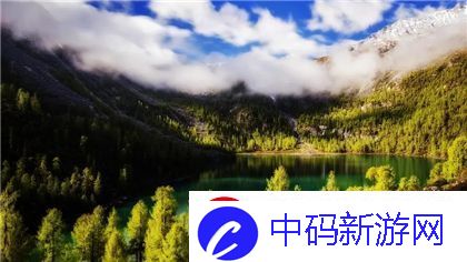 CSGO高清大片蘑菇