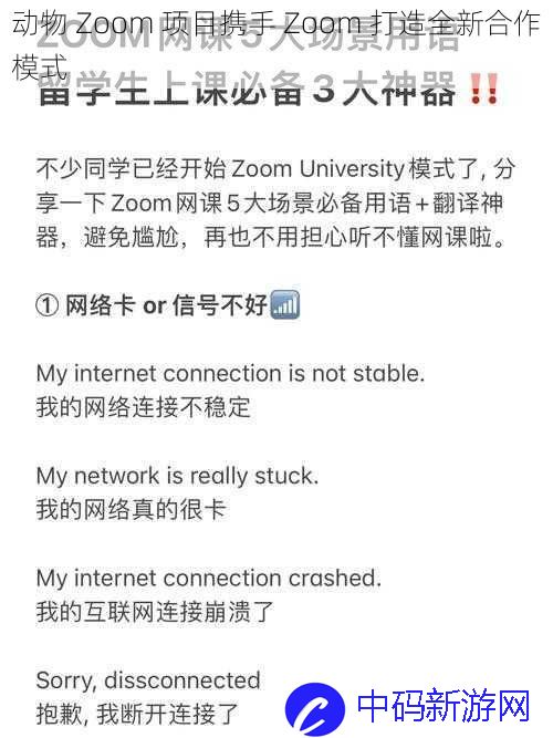 动物 Zoom  项目携手 Zoom  打造全新合作模式