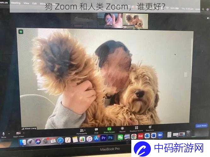 狗 Zoom  和人类 Zoom，谁更好？