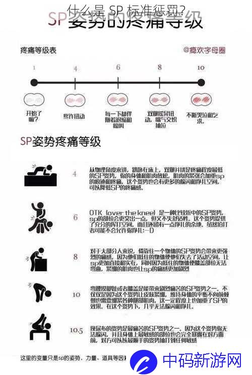 什么是 SP  标准惩罚？