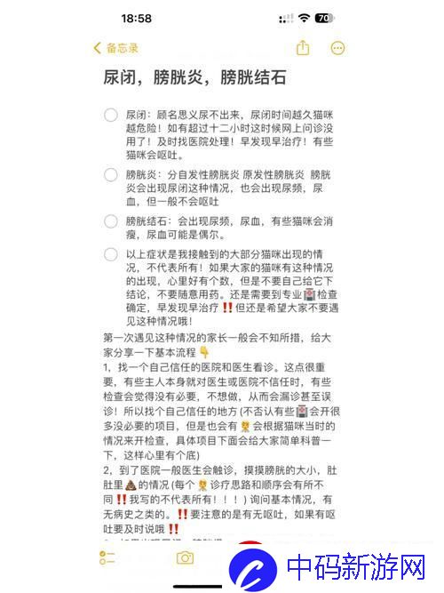 诡秘膀胱