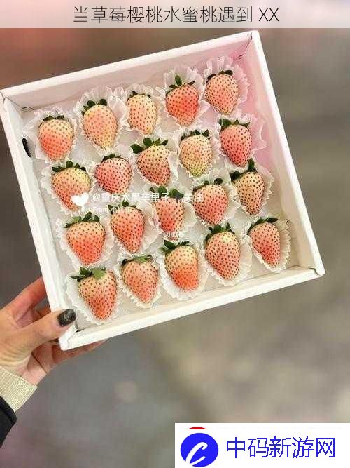 当草莓樱桃水蜜桃遇到