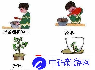 72插秧秘法图鉴