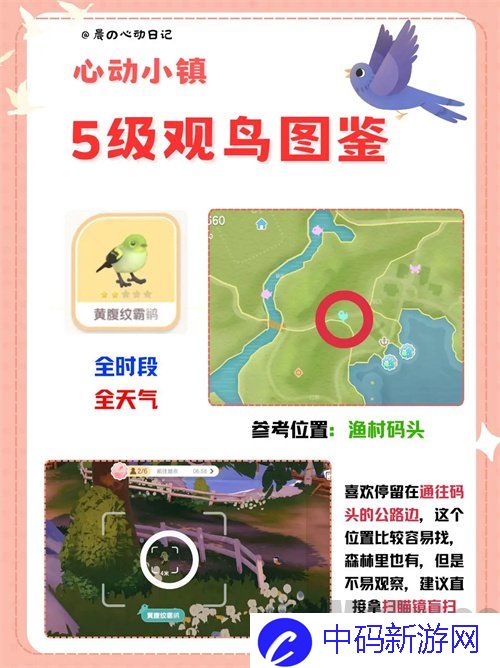 心动小镇五级观鸟位置在哪 心动小镇五级观鸟详细位置介绍攻略