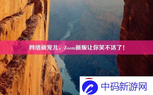 网络新宠儿