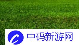 两峰夹小溪地湿又无泥诗：解析诗中的美学和诗中的意境和情感