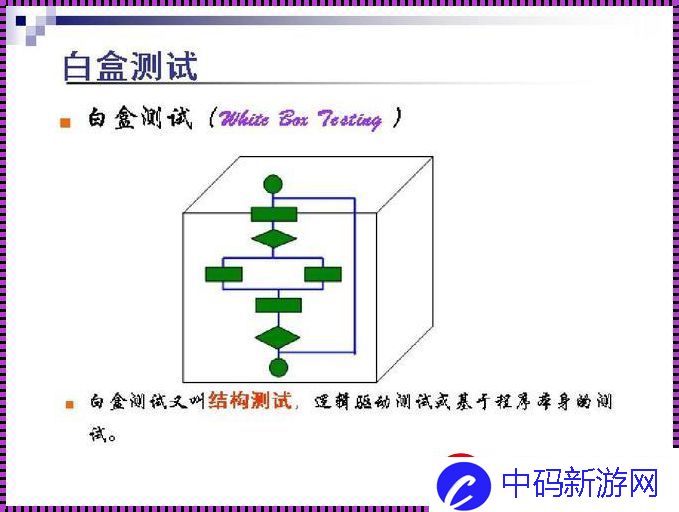 白盒测试