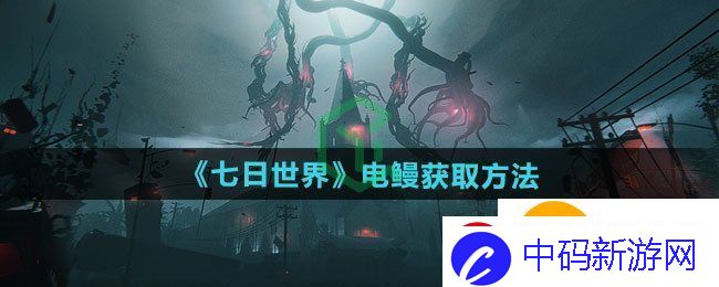 七日世界电鳗如何获取