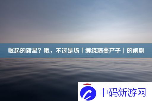 崛起的新星