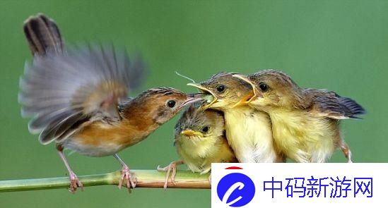 父爱如‘云’