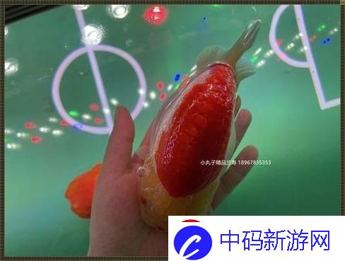 “嘿