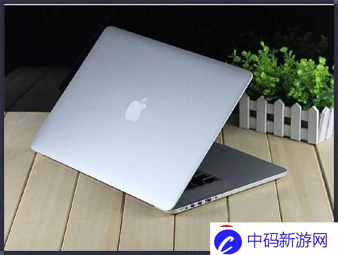 青春限定版MacBook