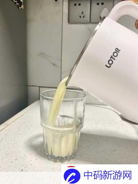 折腾了一个多小时才弄出来的豆浆