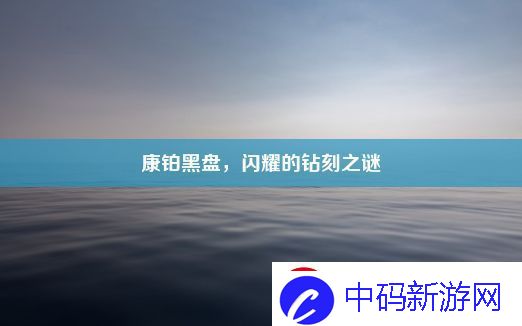 康铂黑盘