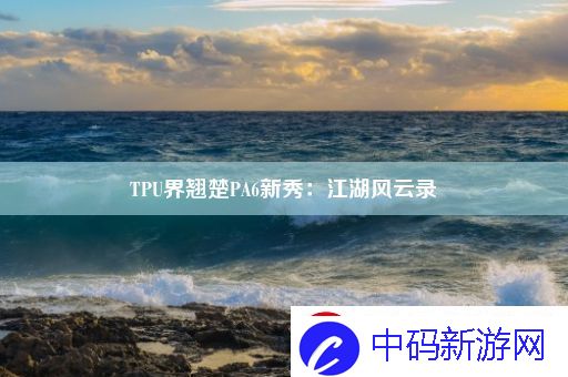 TPU界翘楚PA6新秀