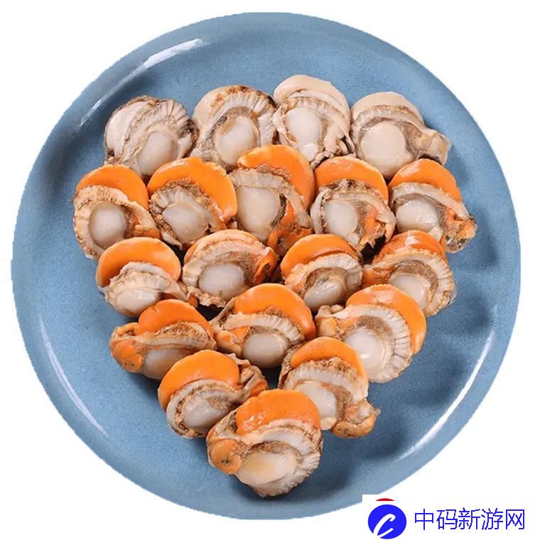 扇贝肉