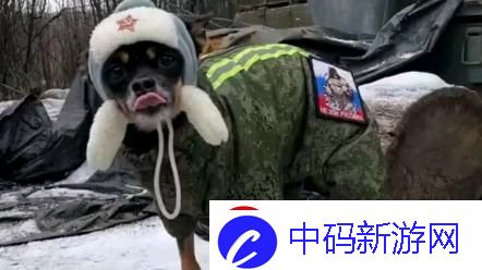 “俄狗”奇谭
