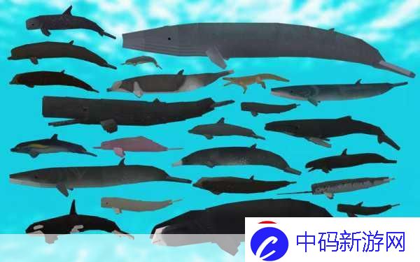 探索未知深蓝