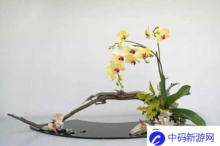 紫龙插花芯