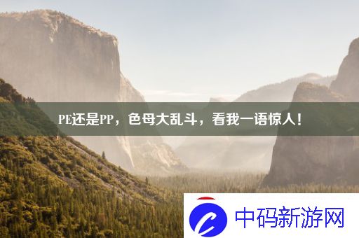 PE还是PP