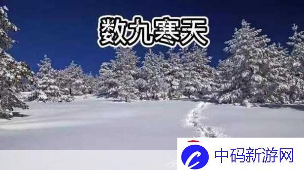 冬天最冷的那些日子数九是从哪个节气开始