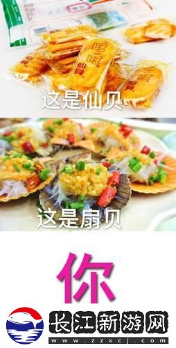 “扇贝or宝贝