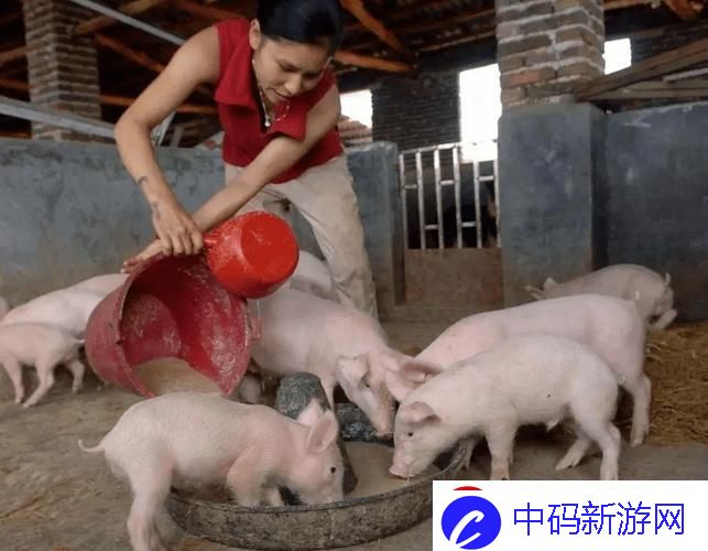养猪场二代