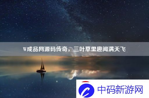 W成品网源码传奇