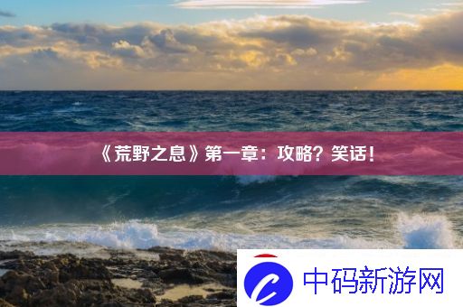 荒野之息第一章