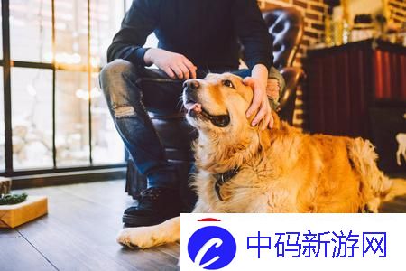 “喵星人与汪星人的奥秘