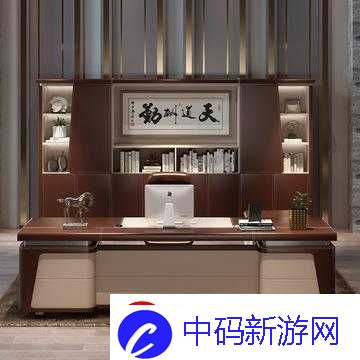 老板的办公桌中字