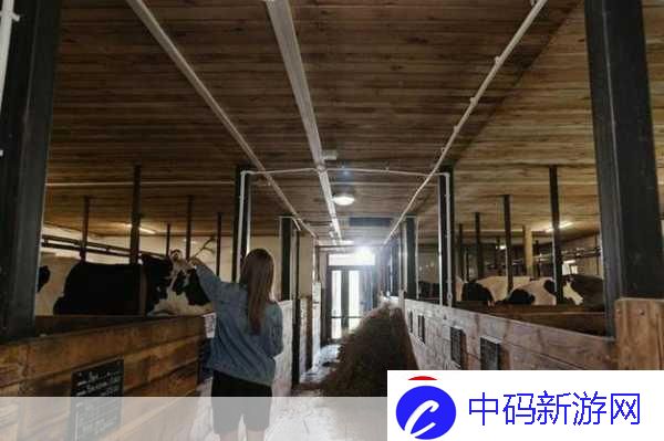 美国人与畜禽合作项目