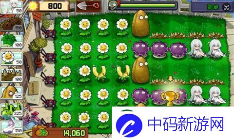 庄不纯植物娘大战僵尸游戏下载