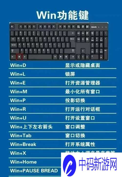 键盘键位大全