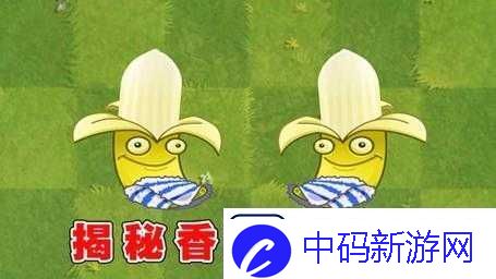 探秘植物大战僵尸