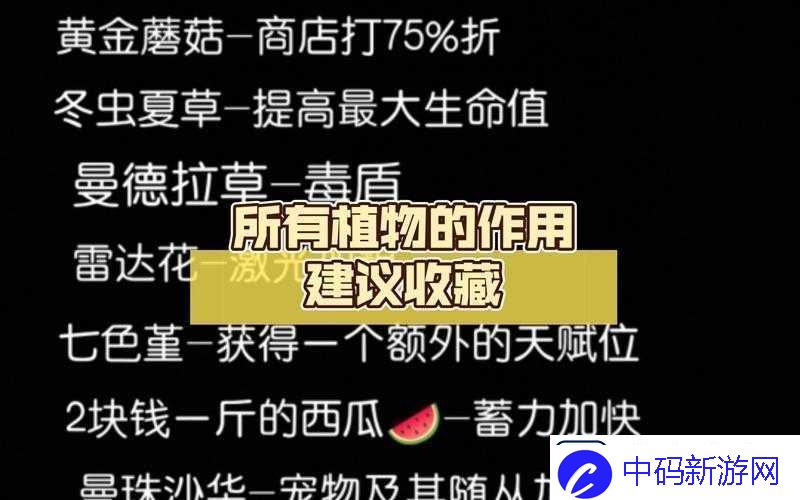 元气骑士冬虫夏草的作用及具体用法全面详细解析