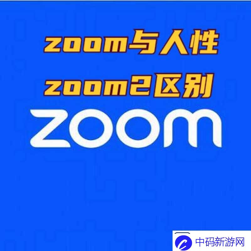 另一类ZOOM