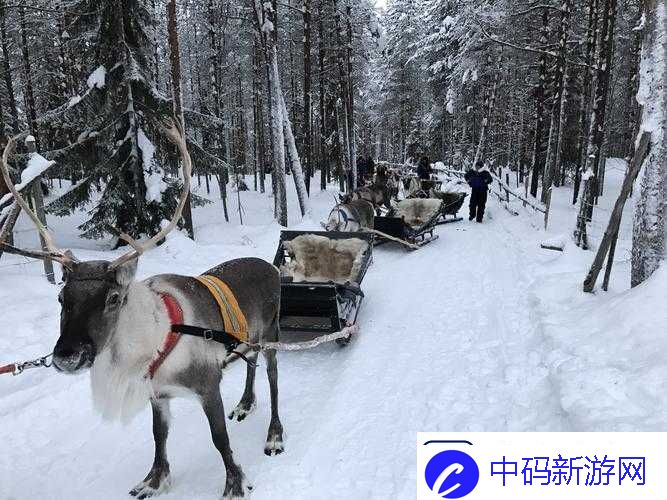 寻找冰原守卫者拉雪橇的麋鹿