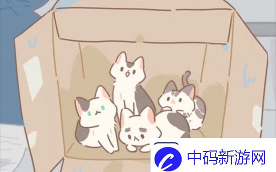 遇见你的猫烹饪菜谱有哪些