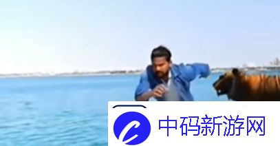 抖音印度队长是什么梗