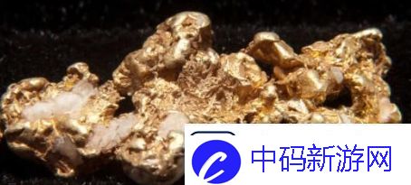 含金量还在上升是什么梗络用语