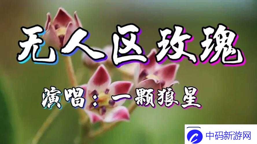 无人区玫瑰