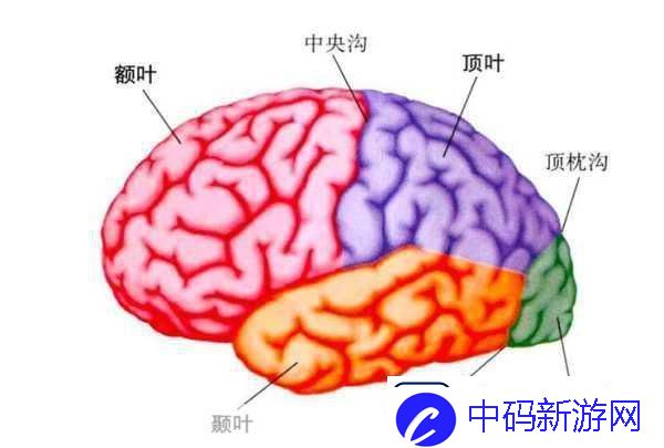 分裂之门2震撼来袭