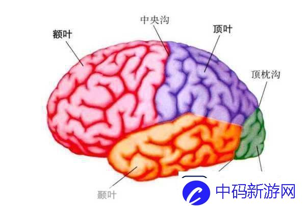 分裂之门2震撼来袭