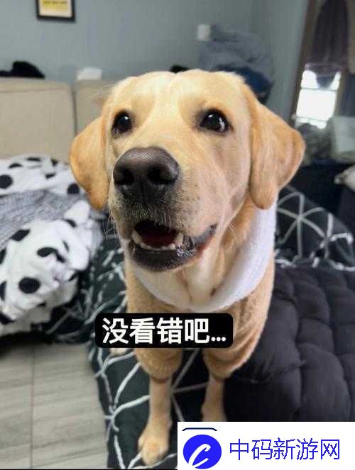 我不太理解丰年经的继拇
