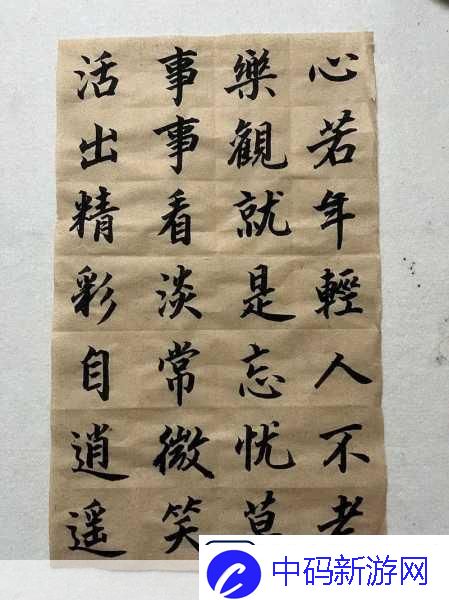 忘忧草1688站