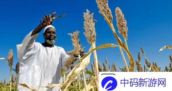 探索种子天堂