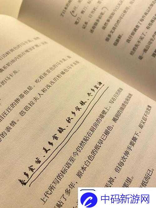 如何用一支笔抄哭自己