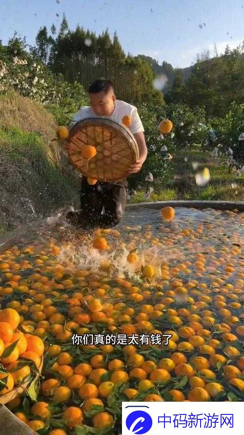 果冻传染煤