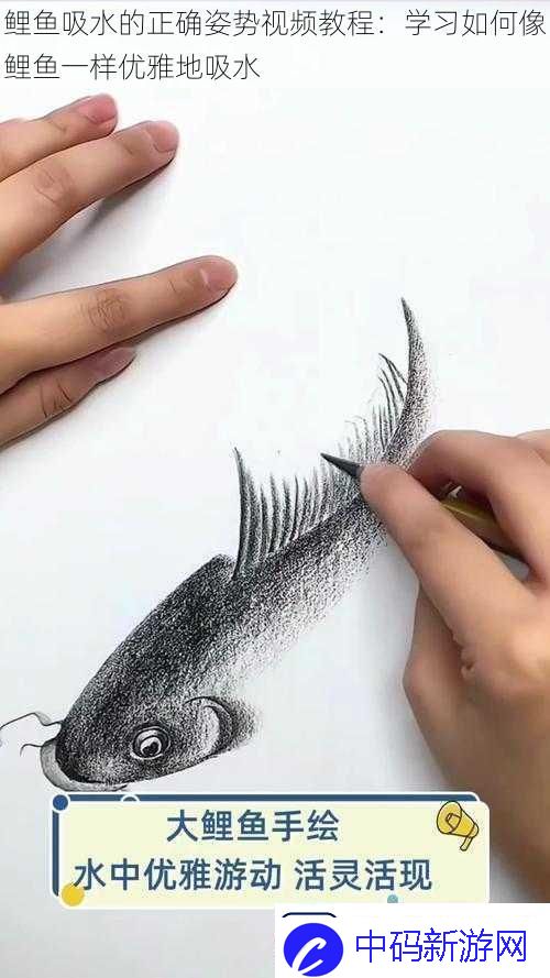 鲤鱼吸水的正确姿势视频教程